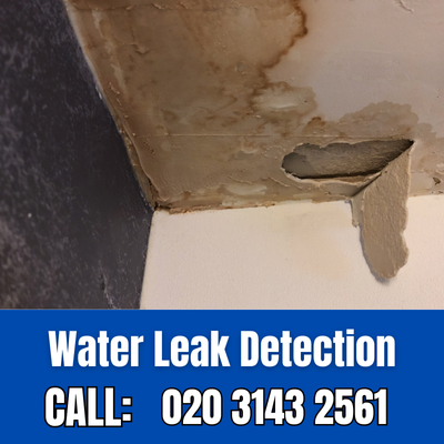 Expert Water Leak Detection Services in Honor Oak Park | Honor Oak Park Leak Detection